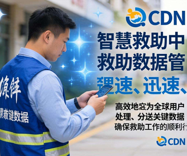 亚太CDN助力智慧救助：精准高效的救助数据管理之道