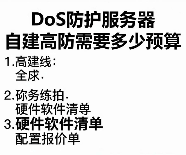 DDoS防护服务器自建高防预算、软硬件清单及配置报价单