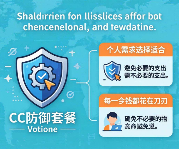 2026年CC防御套餐选择指南：避免交智商税的实用攻略