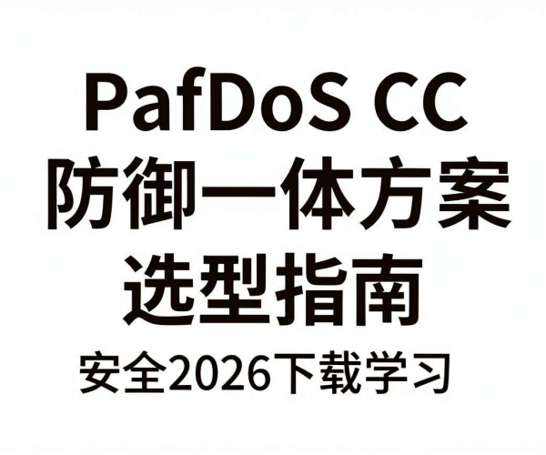 DDoS CC防御一体方案选型指南PDF 2026版百度网盘安全下载学习