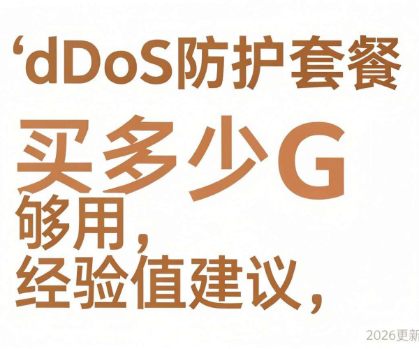 2026更新版：DDoS防护套餐游戏行业规格及多少G够用经验建议