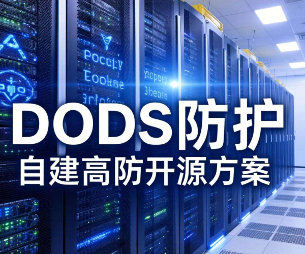DDoS防护服务器：自建高防开源方案大揭秘