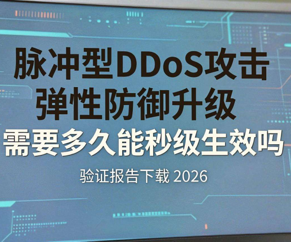 脉冲型DDoS攻击弹性防御升级秒级生效验证报告下载(2026)