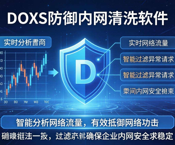 企业网络DDoS防御：内网清洗软件硬件的关键作用与应用优势