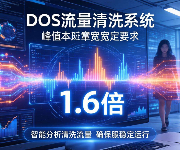 DDoS流量清洗带宽：确保安全需按要求峰值的1.6倍规划