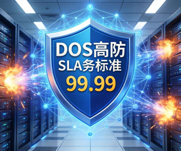 DDoS高防服务SLA标准达99.99，为网络安全筑牢坚实防线