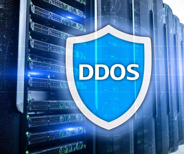 DDoS防护价格受哪些因素影响？防护对象是关键