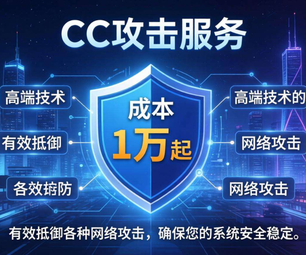 防CC攻击成本1万起，揭秘背后费用构成与价值体现