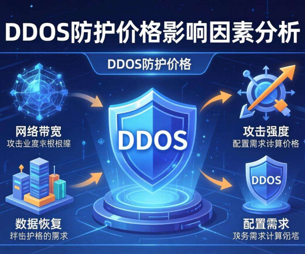 DDoS防护价格影响因素剖析：技术、规模与市场供需的交织