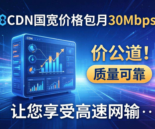 国内CDN带宽包月30Mbps,这个价格堪称良心价!