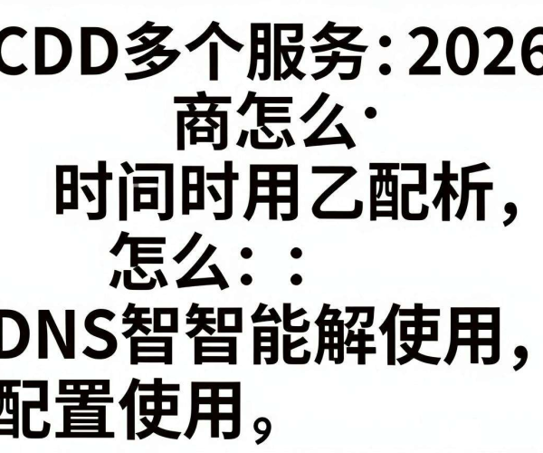 CDN多服务商同时用教程：DNS智能解析2026配置与使用