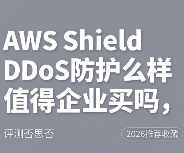 2026思否推荐！AWS Shield DDoS防护评测，企业购买值得与否？