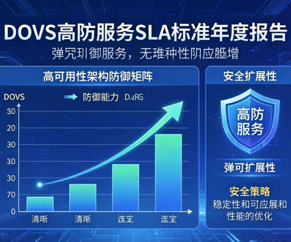 DDoS高防服务SLA标准年度报告：数据呈现与服务质量洞察