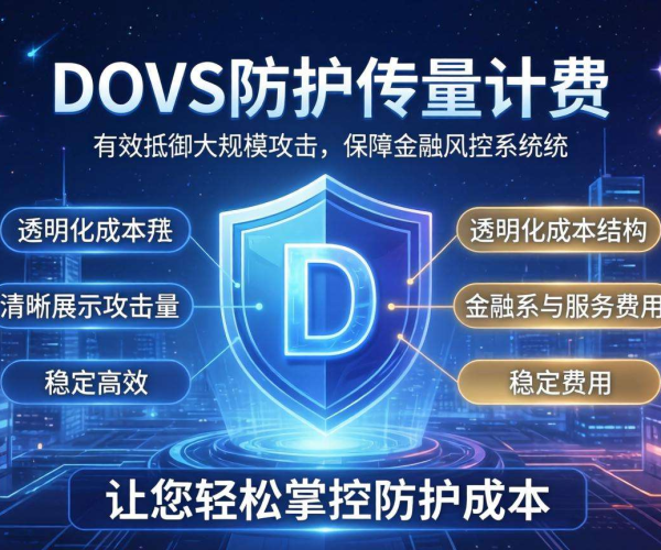 DDoS防护按量计费成本几何？与金融风控需求适配性分析