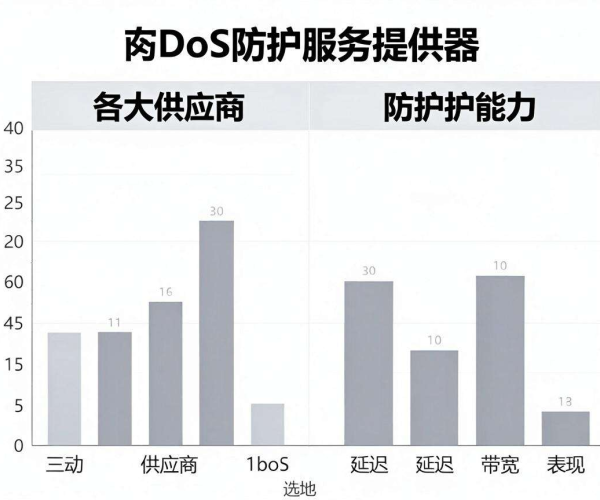 DDoS防护服务商大比拼：全方位对比，助你选对防护伙伴