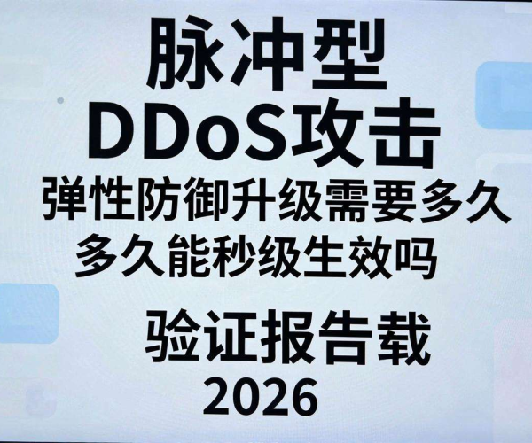 脉冲型DDoS攻击弹性防御升级秒级生效验证报告下载2026