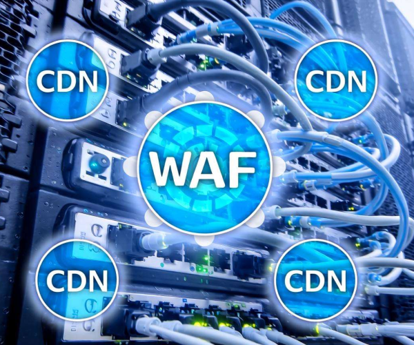 WAF与CDN组合防御场景接入：强化网络安全的有效方案