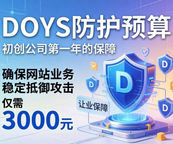 初创公司第一年3000元预算用于DDoS防护够不够？