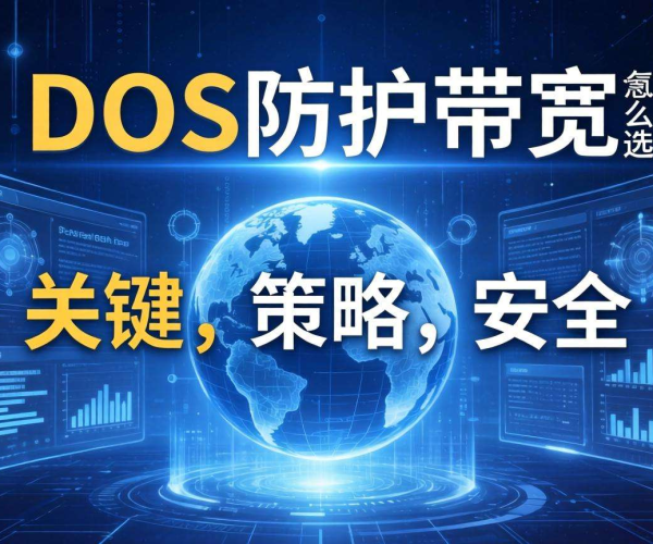 DDoS防护带宽怎么选？这些要点帮你做出正确决策