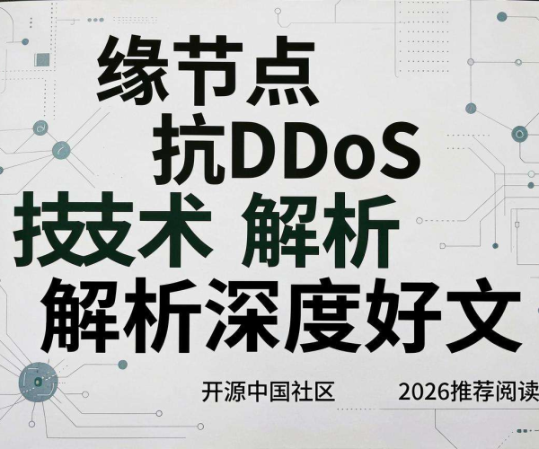 边缘节点抗DDoS技术解析：开源中国社区2026推荐深度好文