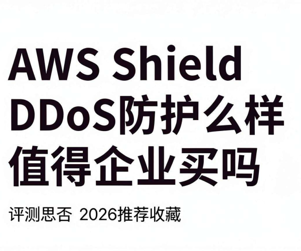 AWS Shield DDoS防护评测：2026企业值得买吗？思否推荐收藏