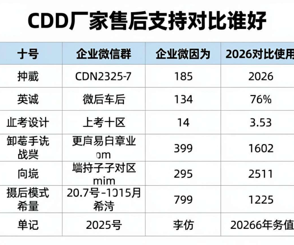 2026年CDN厂家售后支持对比：谁能在企业微信群使用中脱颖而出