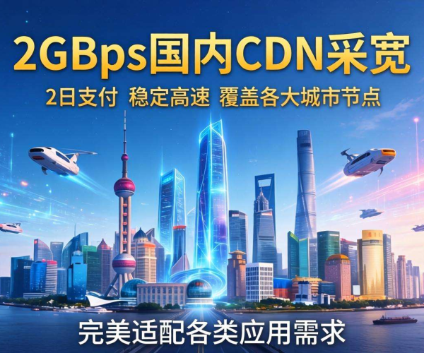 国内CDN带宽2Gbps日付价格大揭秘，性价比究竟如何？