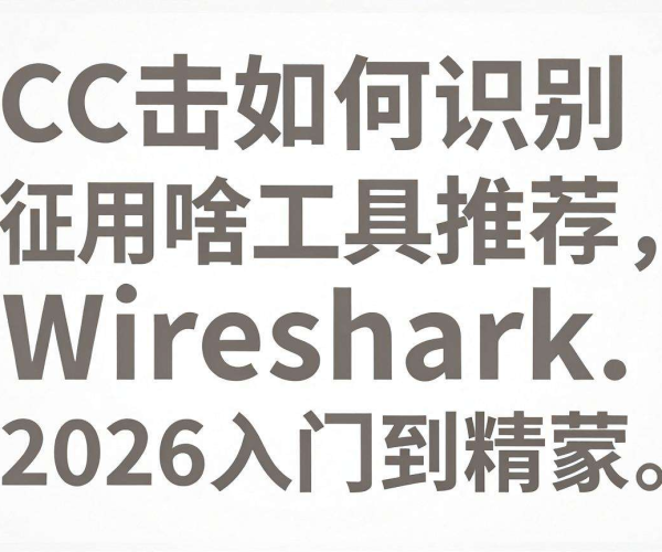 2026 CC攻击特征识别及Wireshark工具使用从入门到精通教程