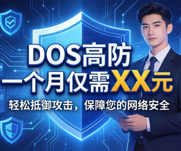 DDoS高防一个月费用多少？影响价格因素大揭秘