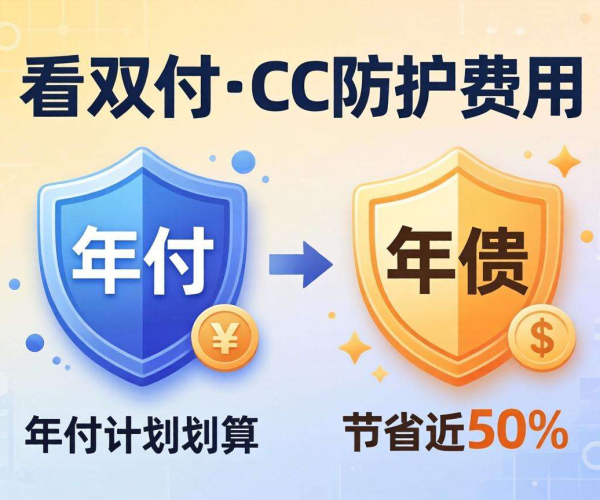 CC防护价格对比：包月与包年哪个更划算的深度计算