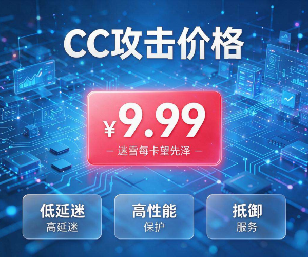 防范CC攻击：解析其对价格影响及应对策略