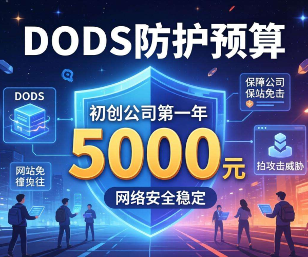 初创公司第一年5000元预算用于DDoS防护够不够？