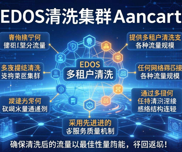分布式DDoS清洗集群Anycast：保障网络安全的高效解决方案