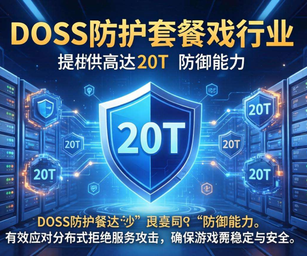 20T DDoS防护套餐：为游戏行业筑牢安全防线