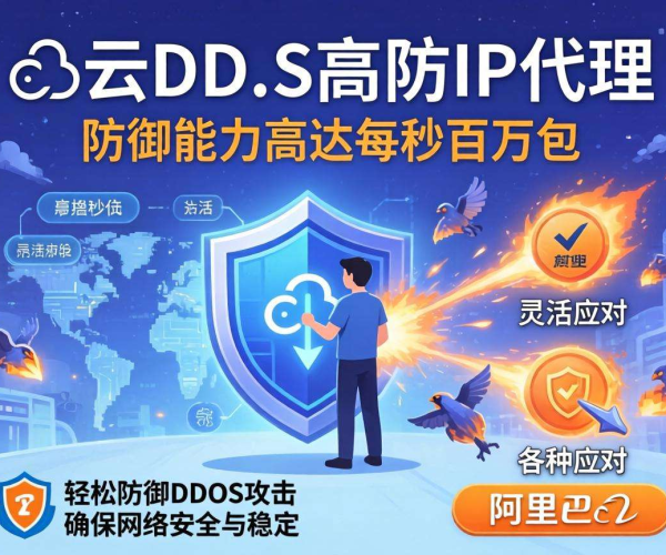 阿里云代理价揭秘：DDoS高防IP价格详情大曝光