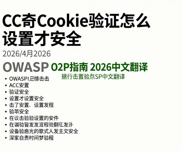 CC攻击Cookie验证安全设置教程：OWASP指南2026中文翻译解读
