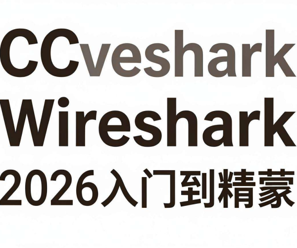 2026 CC攻击特征识别及Wireshark工具使用：从入门到精通教程