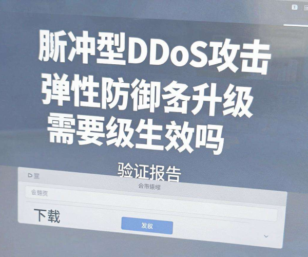 脉冲型DDoS攻击弹性防御升级秒级生效验证报告下载
