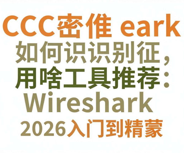 2026 CC攻击特征识别及Wireshark工具使用入门到精通教程