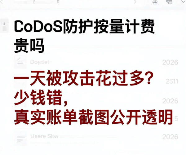 DDoS 防护按量计费贵不贵?2026 真实攻击日账单截图公开透明