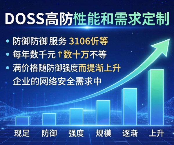 DDoS高防价格大揭秘，究竟多少钱能搞定？