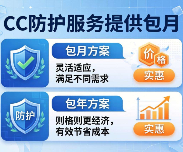 CC防护价格揭秘：包月包年方案，满足不同需求与预算