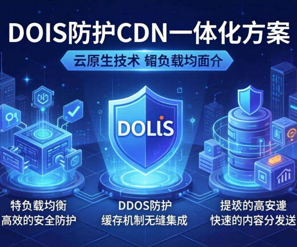 DDoS防护与CDN一体化方案：云原生技术打造安全高效网络防护体系