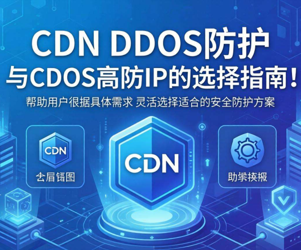 CDN DDoS防护与DDoS高防IP区别解析及选择指南
