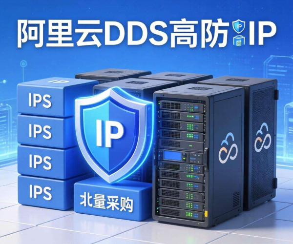 阿里云DDoS高防IP批量采购，揭秘其极具竞争力的价格策略