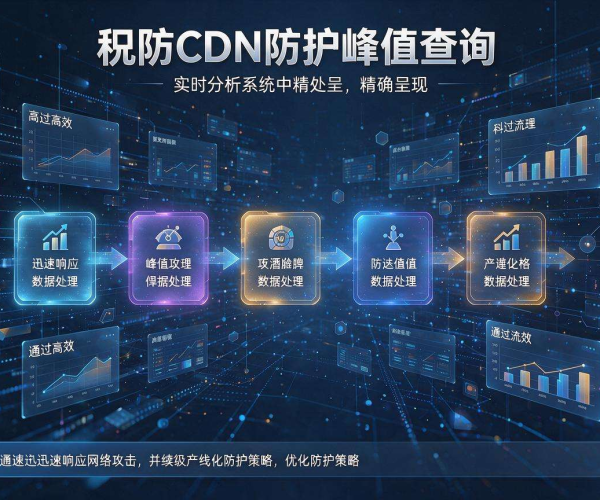 高防CDN防护峰值查询：精准把握，保障网络安全无虞